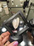 Opal display