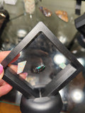 Opal display